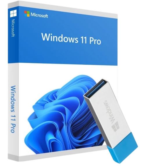 Windows 11 Pro Upgrade Stick